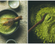 Prepare o chá verde Matcha, um elixir que ajuda a manter a forma e a saúde!