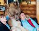 Conheça o casal russo que vive há 20 anos com um enorme urso marrom