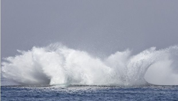 O VOO DA JUBARTE: fotógrafo flagra uma baleia jubarte com suas 40 toneladas totalmente fora d'água
