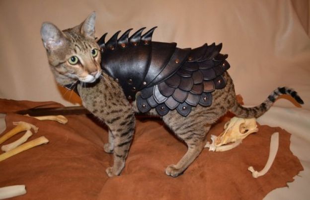 Cat Battle Armor (Armadura de batalha para gato)