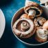 10 melhores alimentos - Cogumelos