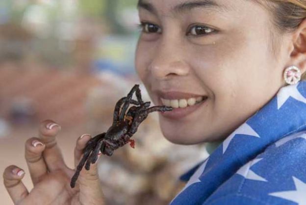 Tarântula crocante - Camboja