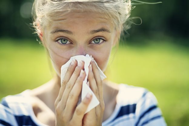 A histamina e as alergias
