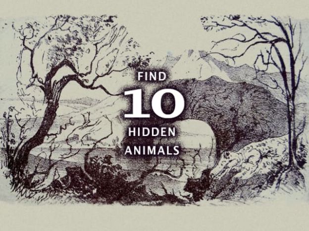Encontre os 10 animais na imagem