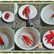 Flor de pimenta vermelha - Etapa 1