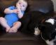 Bebê solta pum e seu cachorro tem reação desesperada
