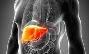 30 alimentos que limpam seu fígado e seu corpo