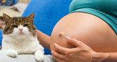 Os GATOS são REALMENTE PERIGOSOS para MULHERES GRÁVIDAS?