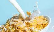 Por que comemos cereal com leite?