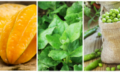 Agosto: legumes e frutas que você deve privilegiar este mês