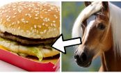 Os maiores escândalos da história do Fast Food!!