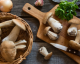 Cogumelos: o seu guia de cogumelos exóticos e as mais deliciosas receitas
