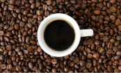 A gente achava que entendia de café até este artigo... e você?