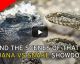 LUTA PELA VIDA: uma iguana fugindo de várias cobras é um video de ARREPIAR!