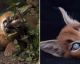 Essas imagens mostram o motivo do filhote de Caracal ser tão lindo