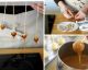 Receita passo a passo: Avelãs caramelizadas para decoração de sobremesas