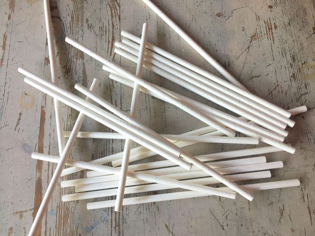 FIM dos canudinhos de plástico: nós experimentamos as alternativas!