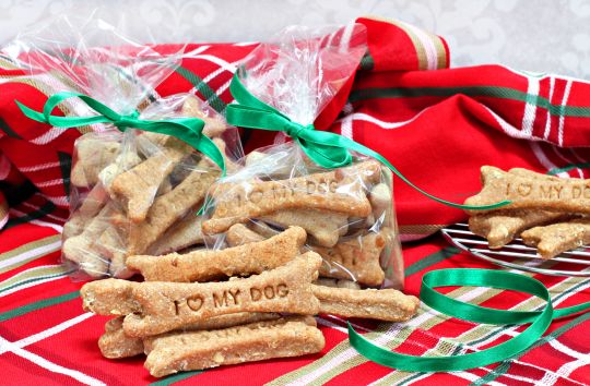 I BISCOTTI di NATALE da regalare al vostro CANE!