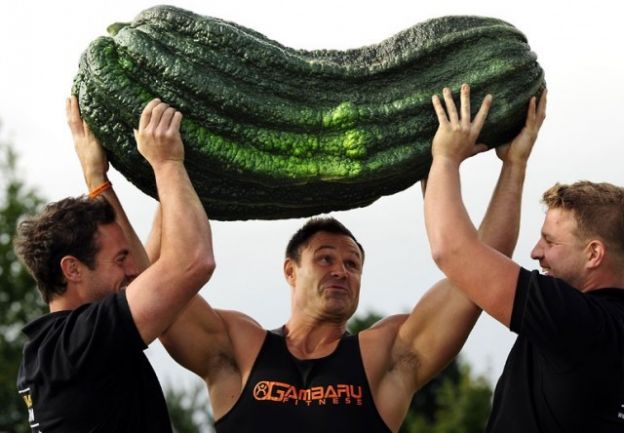 Top 10 des plus gros légumes du monde 