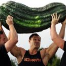 Top 10 dos 10 maiores legumes do mundo