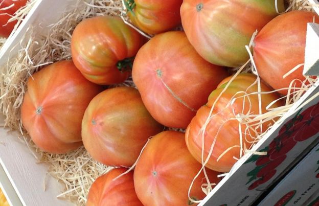 Diminuer l’acidité des tomates