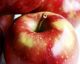 A maçã: seu alimento saúde!
