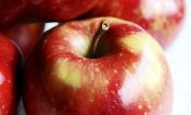 A maçã: seu alimento saúde!