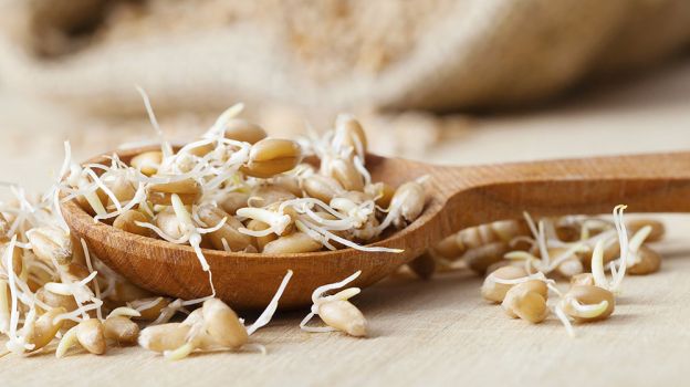 10 alimentos essenciais para se ter uma boa visão - zinco