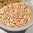 Quinoa, o trigo dos incas
