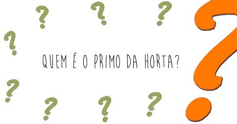 Adivinha&ccedil;&atilde;o do Cuquinha