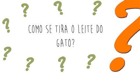 Adivinha&ccedil;&atilde;o do Cuquinha