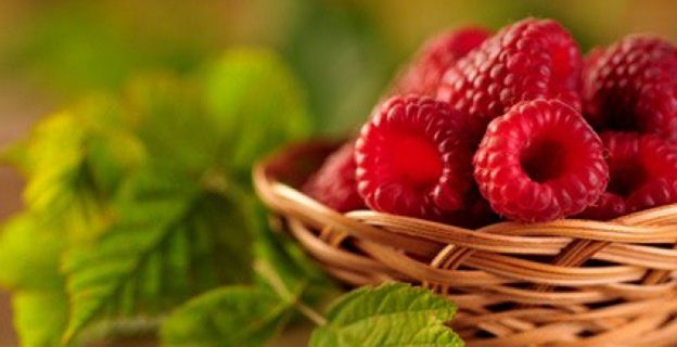 Top 10 dos alimentos os mais eficazes contra o câncer framboesa