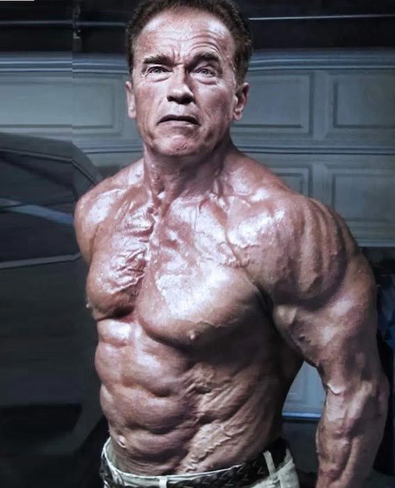 Arnold SCHWARZENEGGER dá a volta por