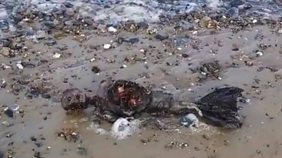 Sereia na beira do mar