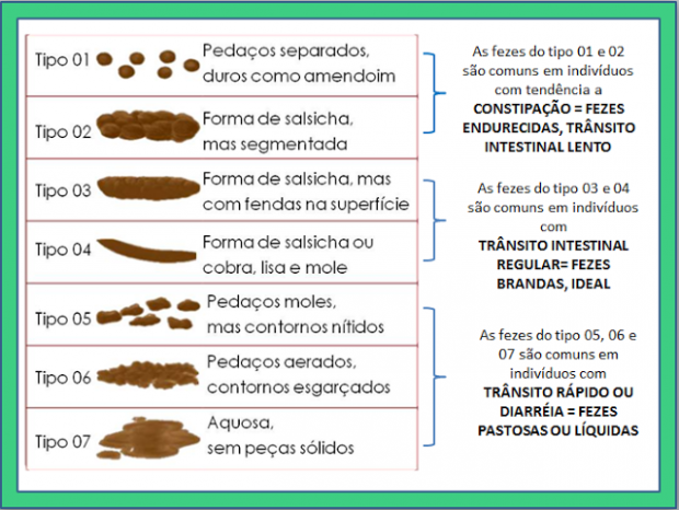 Seu cocô bóia ou afunda? O que isto pode revelar sobre sua saúde.