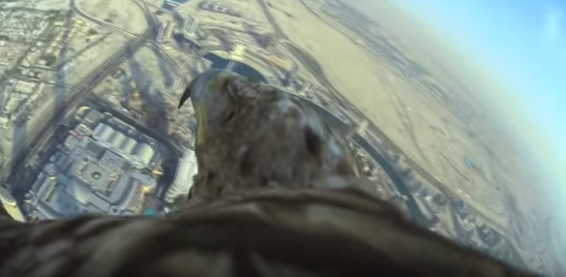 Voo de águia partindo de um dos prédios mais altos do mundo estabelece novo record