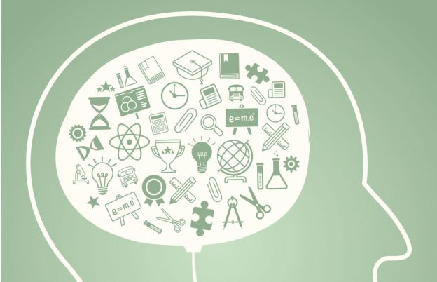 Aprenda a nutrir adequadamente seu c&eacute;rebro