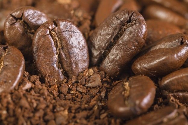 Conservação do café