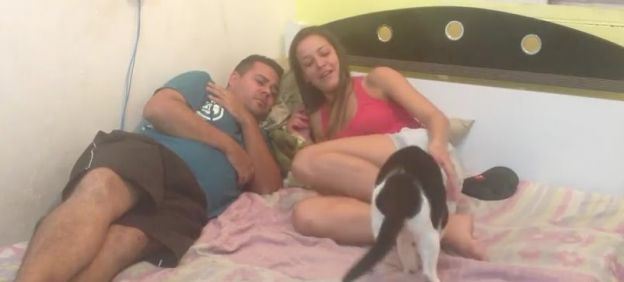 Casal simula agressão e gato defende seu dono