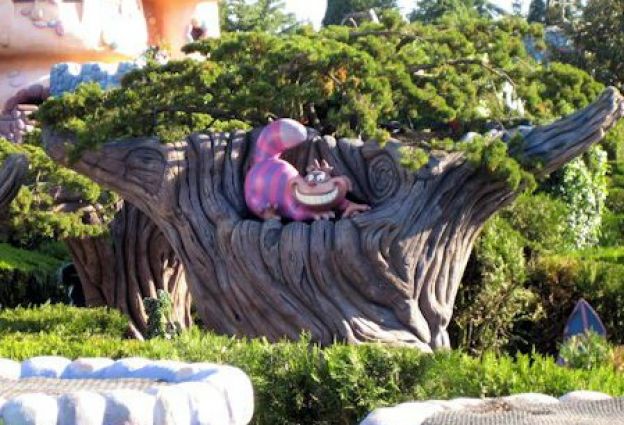 06. A Disneyland tem gatos entre seus mais úteis funcionários