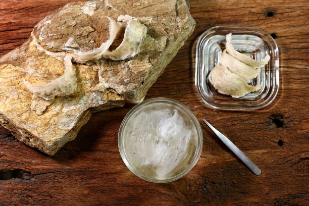 Sopa Ninho de andorinha