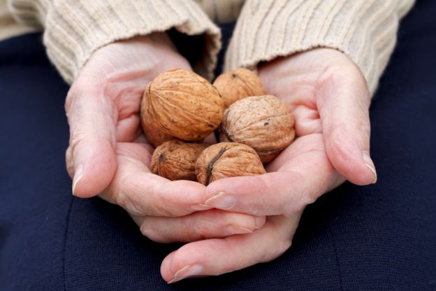 10 melhores alimentos - Nozes