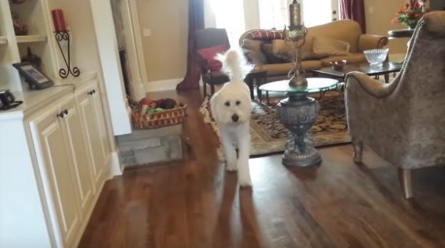 1. Rhett e seu presente de aniversário