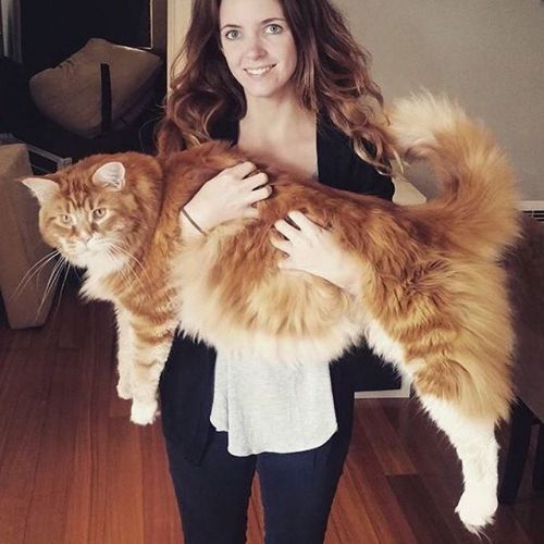 03. Omar e sua Tutora