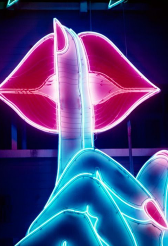 capricórnio e leão