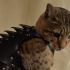 Cat Battle Armor (Armadura de batalha para gato)