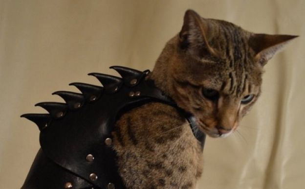 Cat Battle Armor (Armadura de batalha para gato)