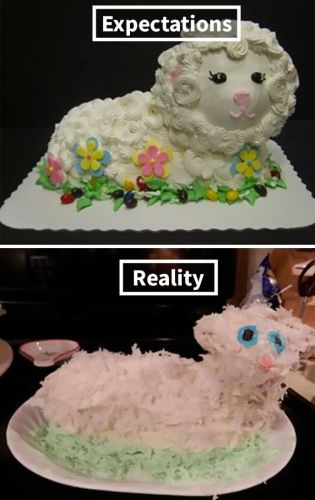 Expectativa x Realidade