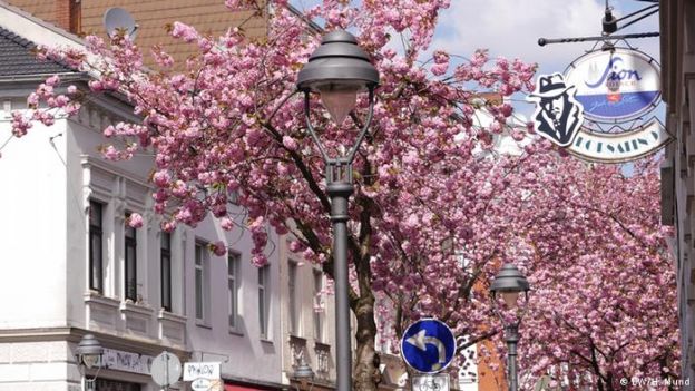 Rua Heerstrasse, em Bonn, na Alemanha