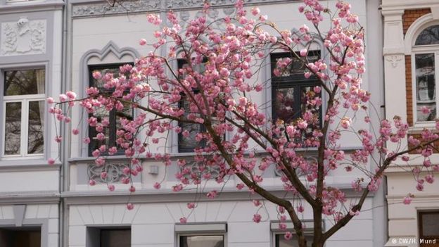 Rua Heerstrasse, em Bonn, na Alemanha